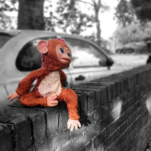 A Toy's Story photography collection thumbnail