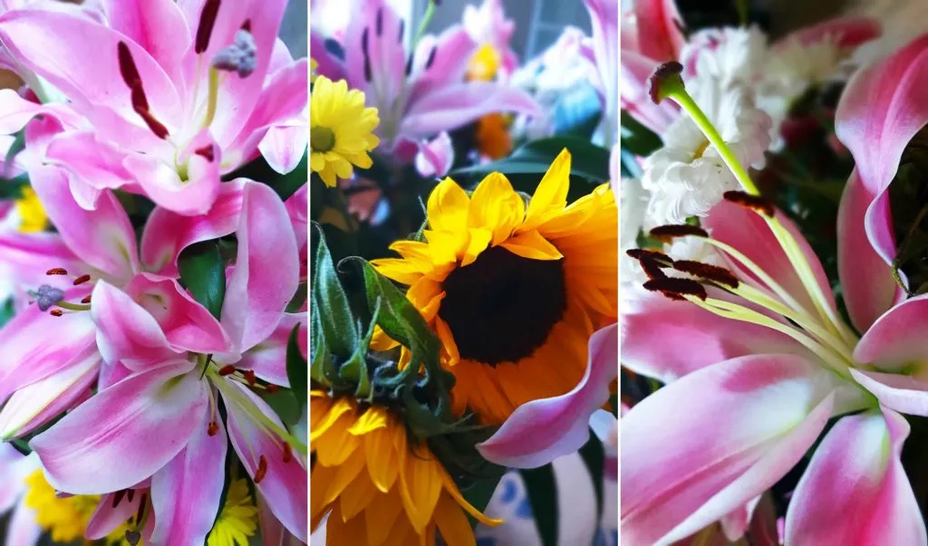 Celebration flowers Celebration flowers