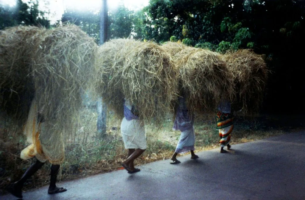 Haystacks Haystacks