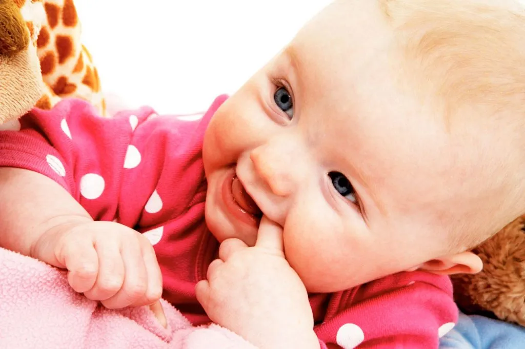 Newborn Newborn